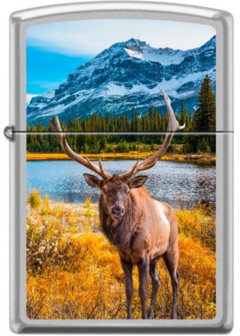  Zippo Autumn Moose Park 0279 aansteker